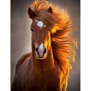 Painting By Numbers Horse Animal Drawing On Canvas